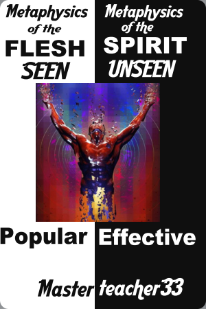 Metaphysics Flesh and Spirit Book Cover