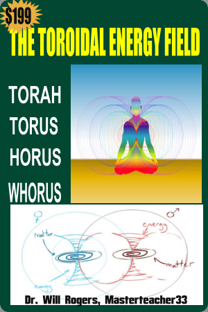Toroid Book Cover